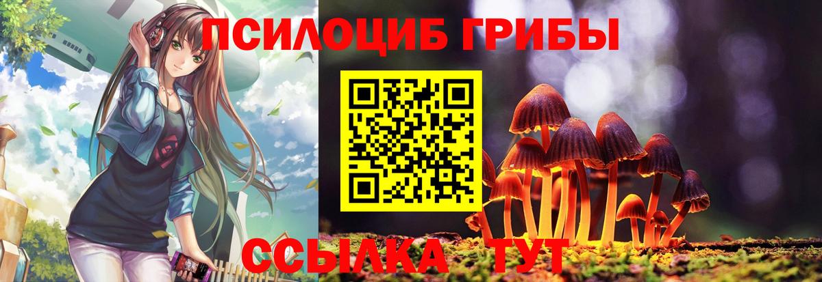Псилоцибиновые грибы Cubensis  Вход с VPN  Топки 