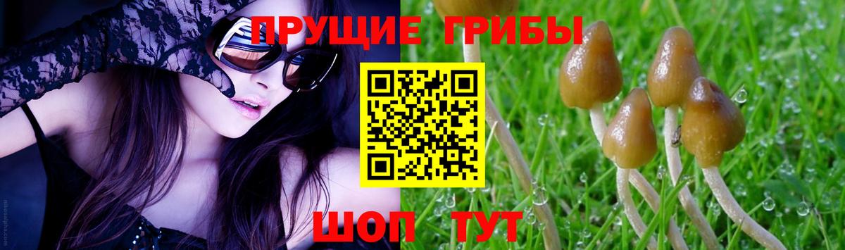 Галлюциногенные грибы MAGIC MUSHROOMS Топки
